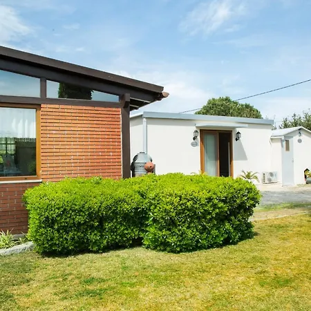 Mertcan By Important Group Travel Bd439 Yalıkavak