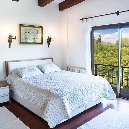 Important Group | Dream Villa *